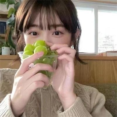 笨蛋的悲剧人生